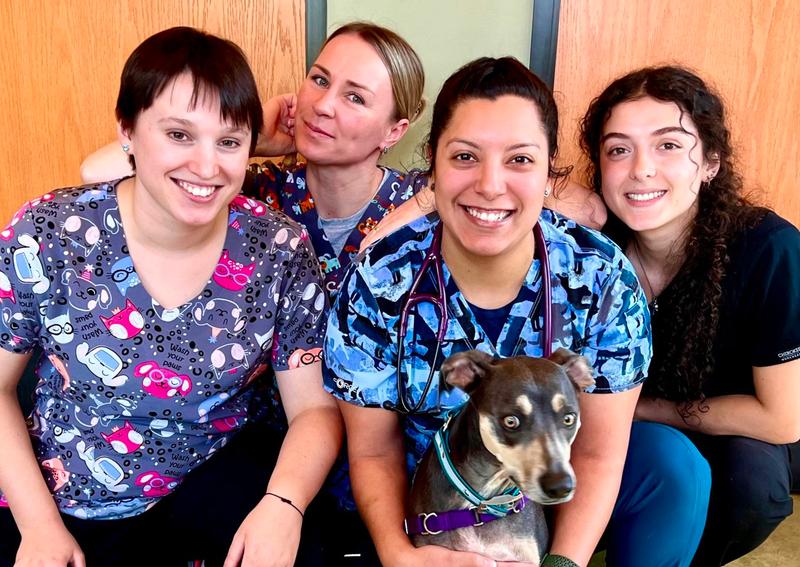 Carousel Slide 1: Meet our awesome Rosedale Veterinary Clinic team!